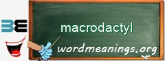 WordMeaning blackboard for macrodactyl